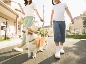 名古屋周辺で好評の結婚相談所は?