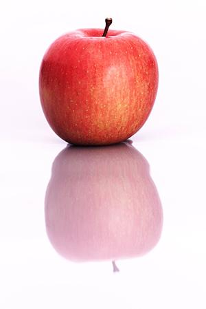 大宮で家族婚をしたい時はこちら