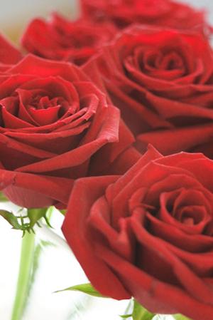 世界にたったひとつだけの結婚指輪