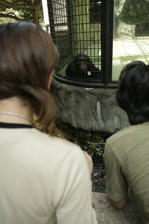東京にあるおすすめの結婚相談です